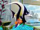 finding-nemo-wallpaper-008-1024.jpg