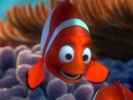 finding-nemo-wallpaper-011-1024.jpg