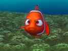 finding-nemo-wallpaper-013-1024.jpg